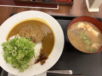 ハンバーグカレー