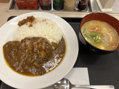 ハンバーグカレー2